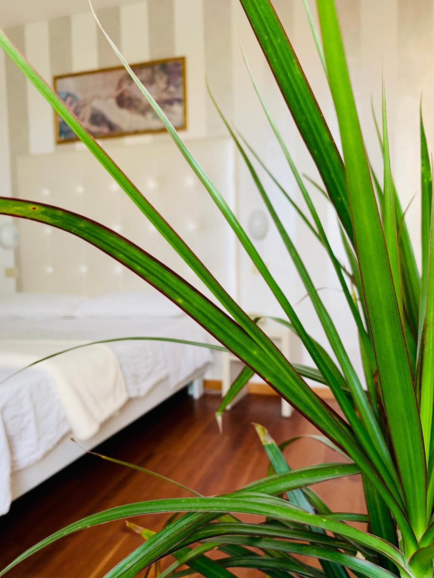 Hotel Baby Milano Marittima Buitenkant foto